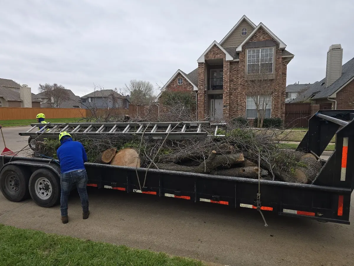 Expert Lot Clearing with proper safety equipment in Stratton